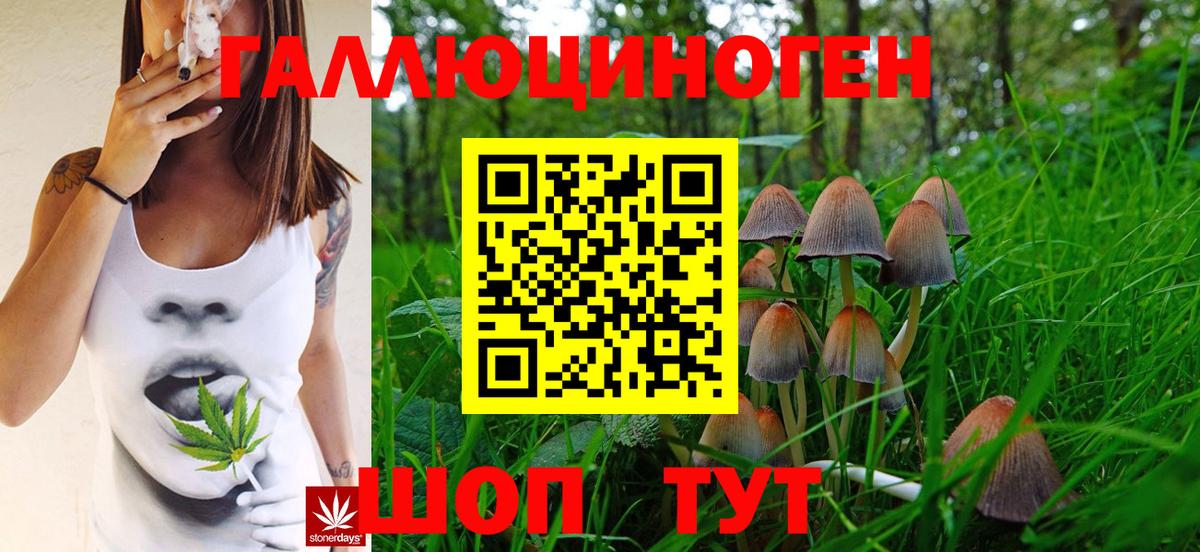 Галлюциногенные грибы GOLDEN TEACHER  Псилоцибиновые грибы MAGIC MUSHROOMS  Вход с VPN  Арсеньев 